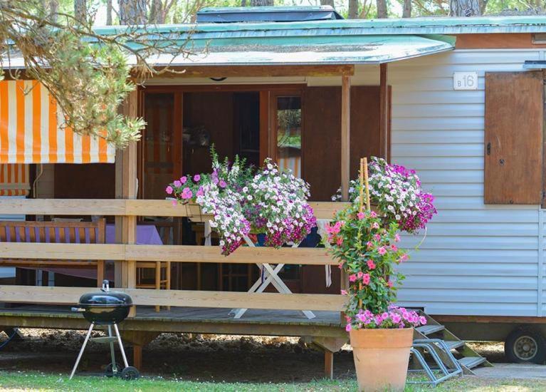 Il Tridente Camping Village ビビオーネ エクステリア 写真