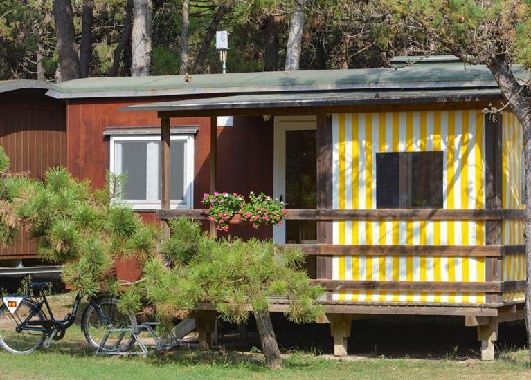 Il Tridente Camping Village ビビオーネ エクステリア 写真
